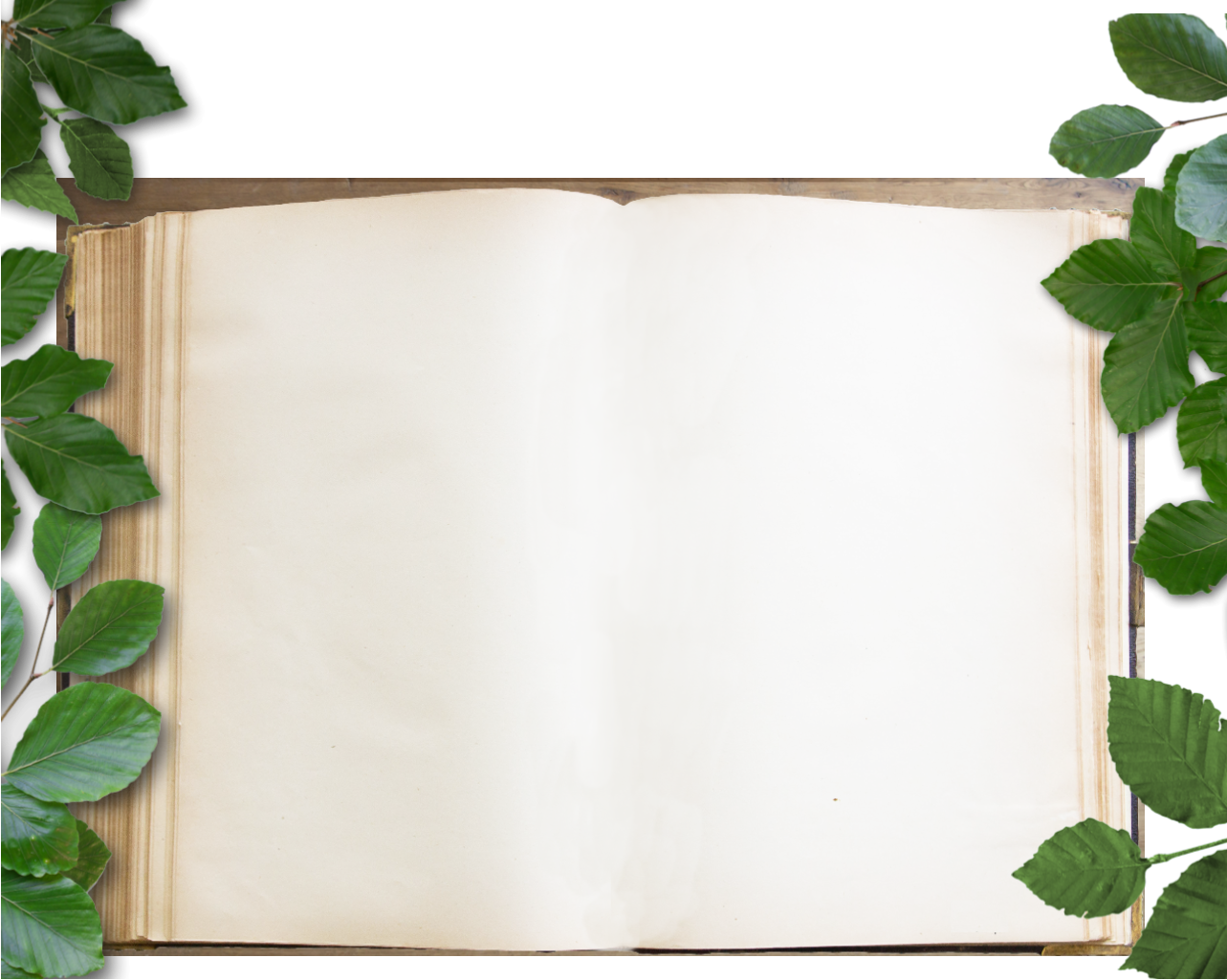 Start Gemeinde Aktuelles Vereine Tourismus Bildergalerie Kontakt